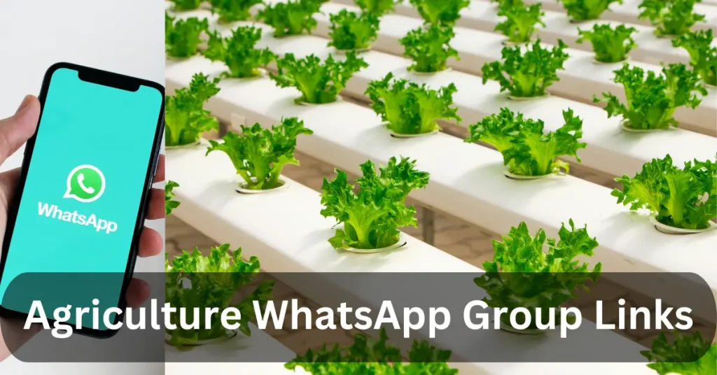 Agriculture WhatsApp Group Links