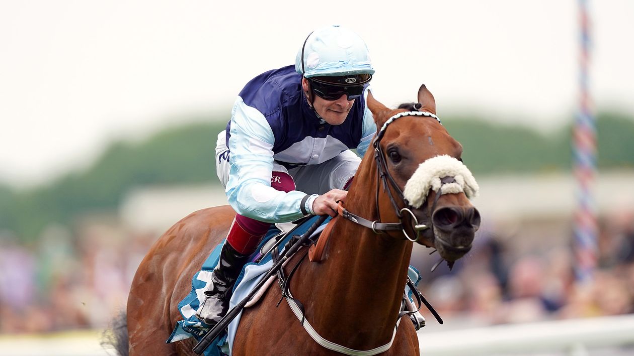 Bolts Up Daily The Horse Racing Tips That Have Bettors Winning Big