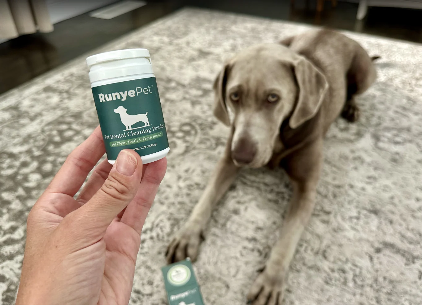 Why Dog Dental Powder Is Important for Your Pets Teeth